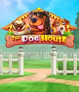 Experience Pragmatic Play's The Dog House adventure, featuring a delightful experience into the world of lovable dogs. Enjoy gameplay elements such as free spins, designed for delivering entertaining gameplay. Perfect for animal enthusiasts an amusing atmosphere alongside lucrative rewards.